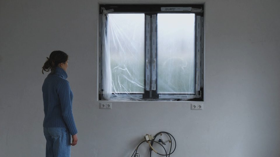 A woman standing by a window